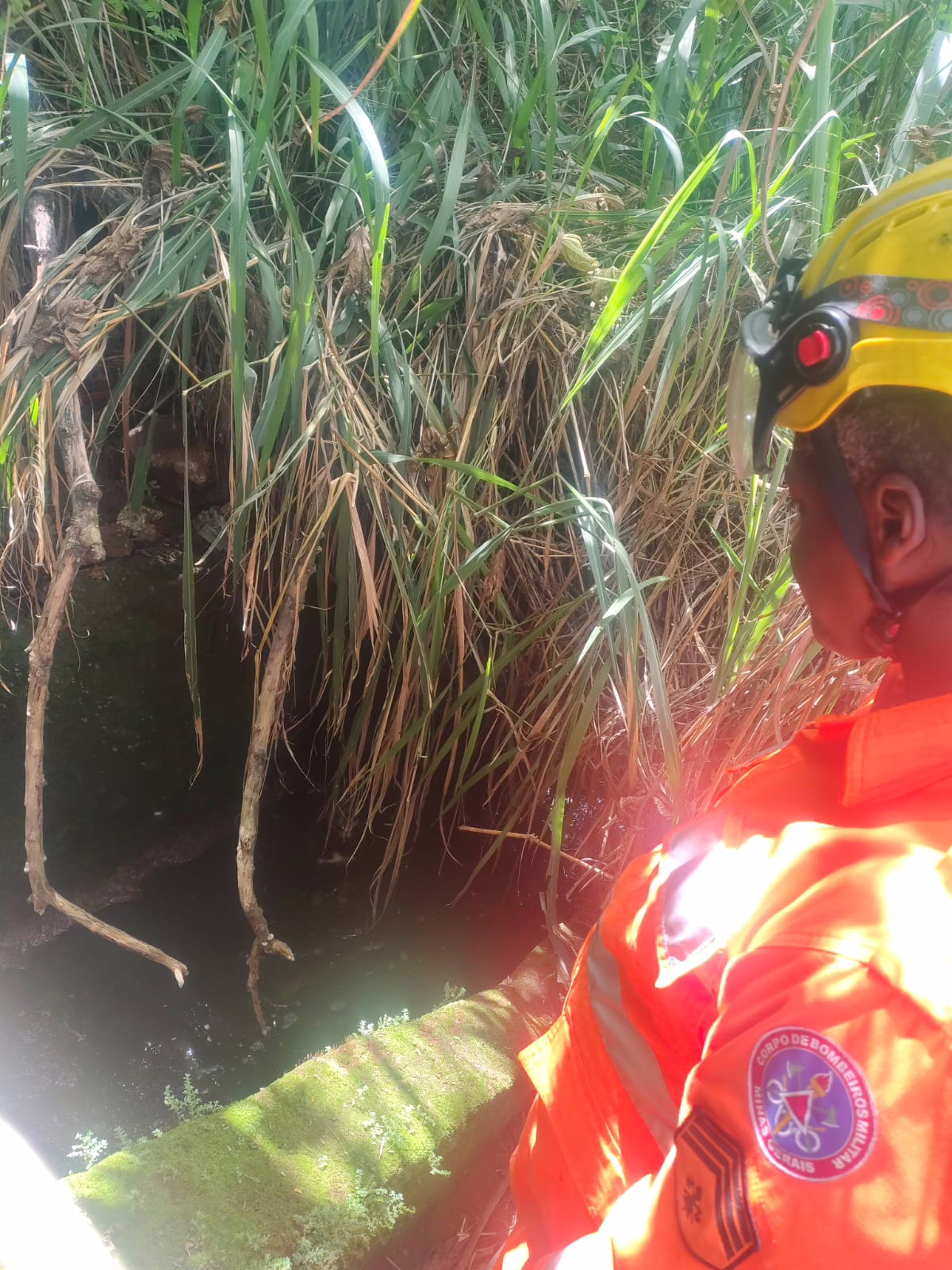Segundo informações, moradores ouviram o animal latindo em meio a uma área de vegetação alta, próxima a uma canaleta de escoamento de esgoto, e acionaram a corporação.