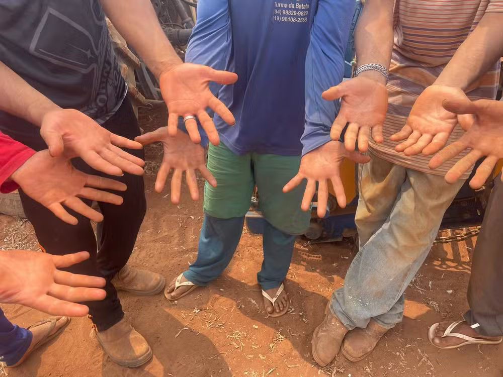 Trabalho análogo à escravidão.