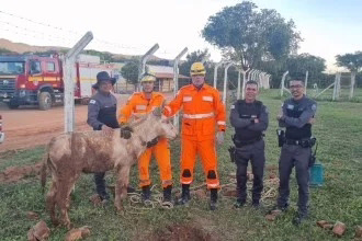 Segundo os militares, o local apertado dificultava a retirada e aumentava a possibilidade de ferimentos durante a operação. Uma retroescavadeira chegou a ser solicitada para auxiliar no resgate, mas o equipamento não estava disponível.