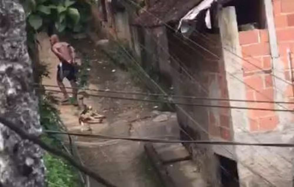 Parte do crime foi filmado; animal foi arrastado por vielas do Morro do Sertão, em Santo Aleixo, em Magé