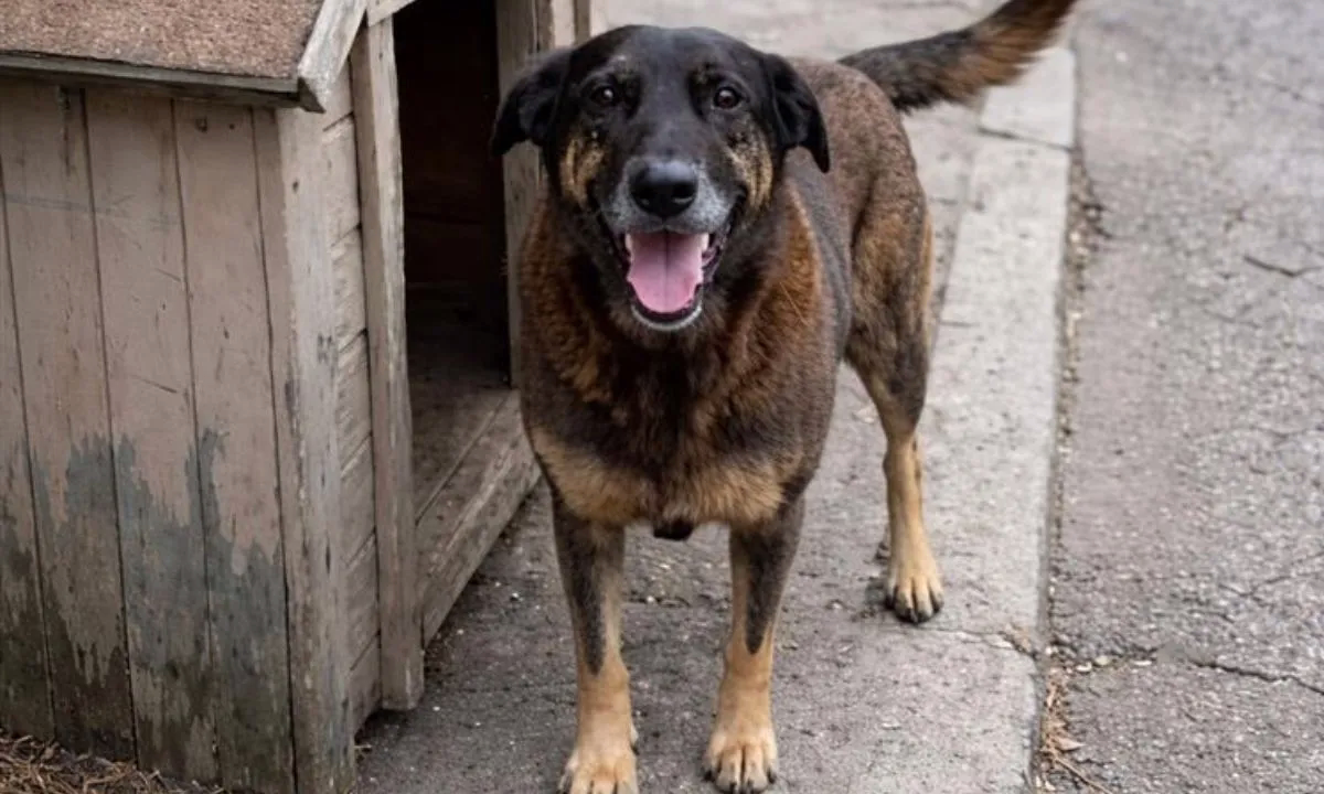 Tony Marcos de Souza, de 52 anos, morreu após sofrer um infarto na madrugada de segunda-feira (13), segundo informações do advogado de defesa Rodrigo Duarte da Silva.