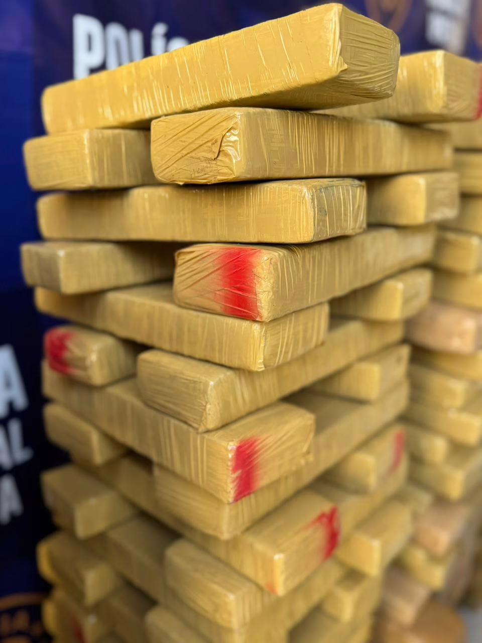 SUGESTÃO DE PAUTA - Grande apreensão de maconha