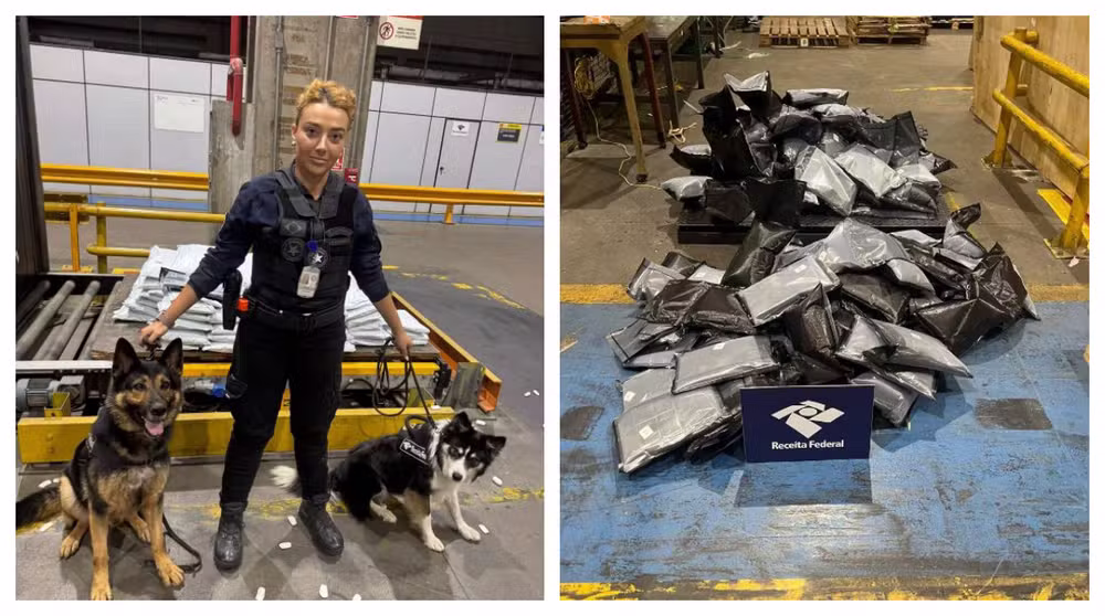 Cães farejadores encontram haxixe em carga vinda dos EUA para o Brasil. Ação da Receita Federal ocorreu no aeroporto de Guarulhos