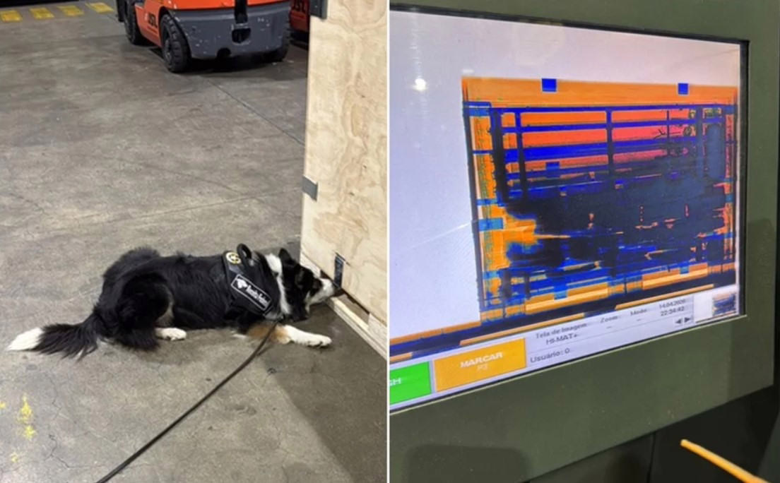 Cães farejadores treinados pelo órgão de fiscalização identificaram o haxixe. As autoridades estadunidenses serão notificadas.