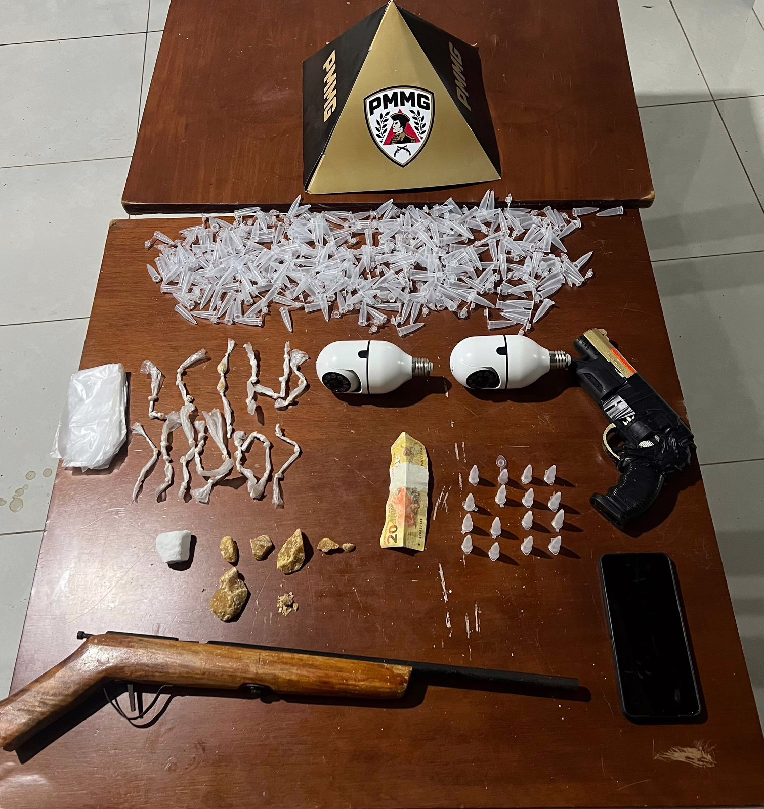 Foi necessário o uso de força moderada para contê-lo.