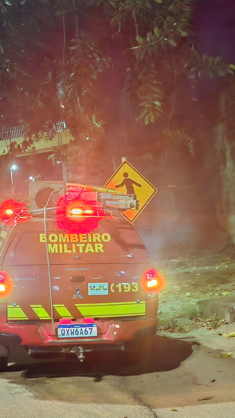 A equipe, coordenada por Fábio, atuou em conjunto com os bombeiros no combate às chamas.