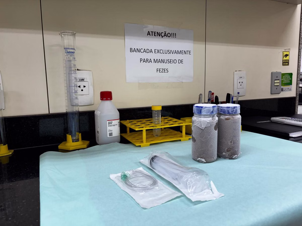 Homens e mulheres sadios de 18 a 50 anos podem se candidatar ao processo.