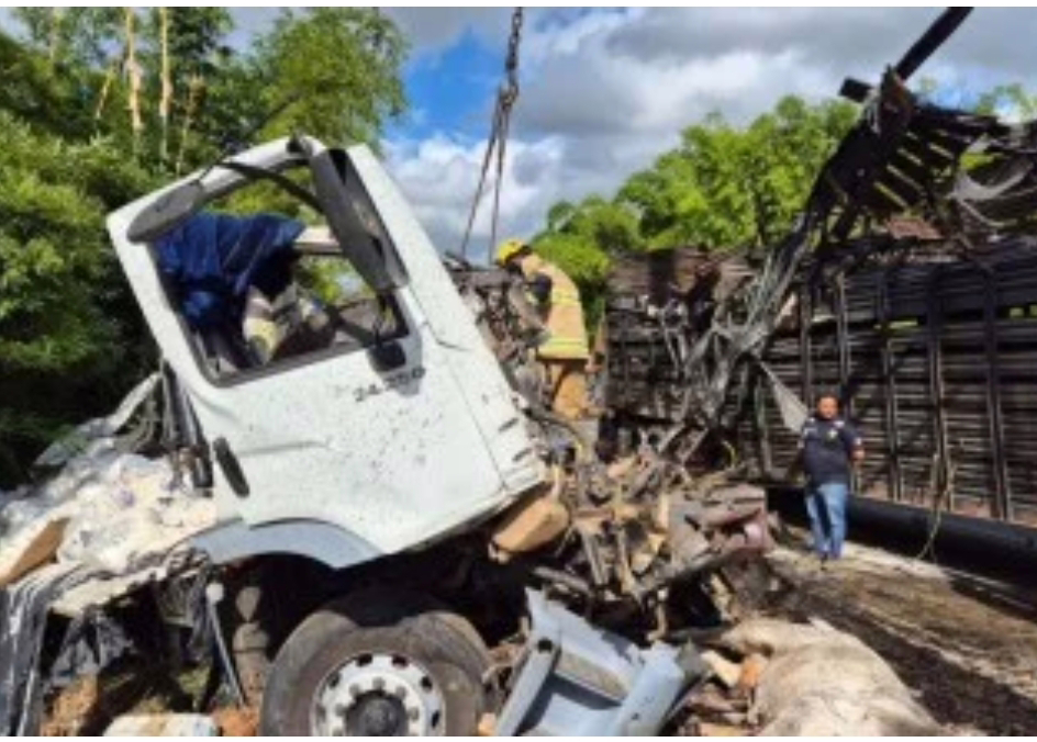 A carreta tombou sobre a pista e houve vazamento de combustível, o que exigiu atenção redobrada durante o atendimento da ocorrência