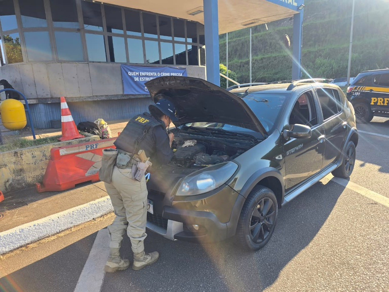 O veículo foi levado para o pátio de apreensões credenciado pela polícia judiciária.