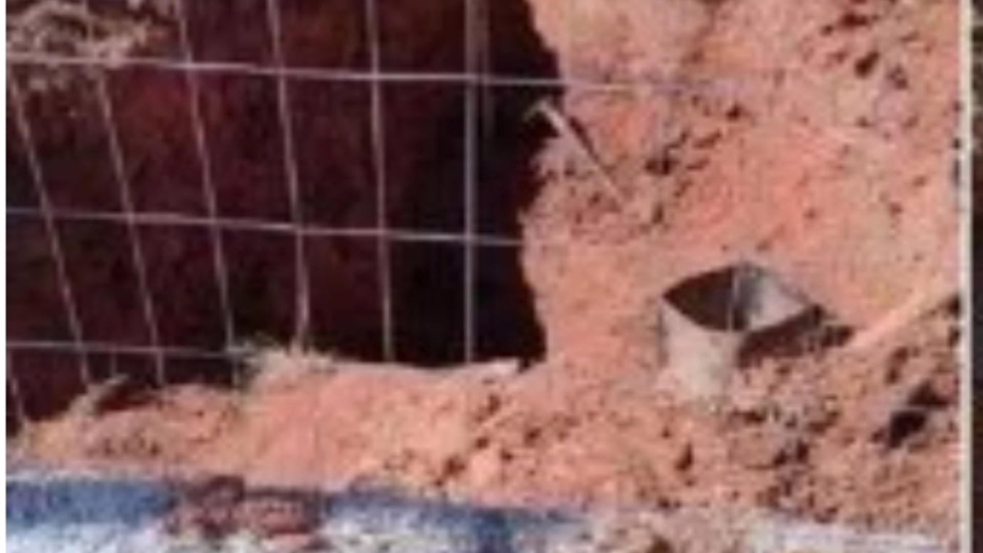 Elas conseguiram desobstruir as vias aéreas e parte do tórax do trabalhador, medida considerada essencial para manter a respiração.