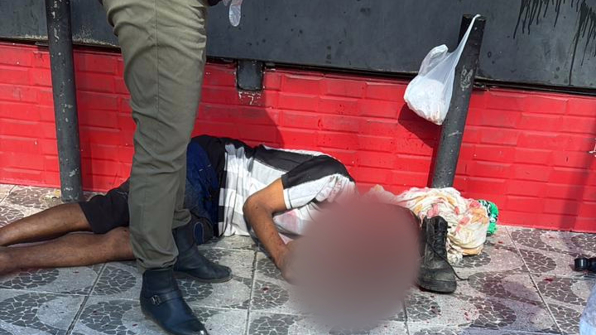 Foto enviada ao PLOX