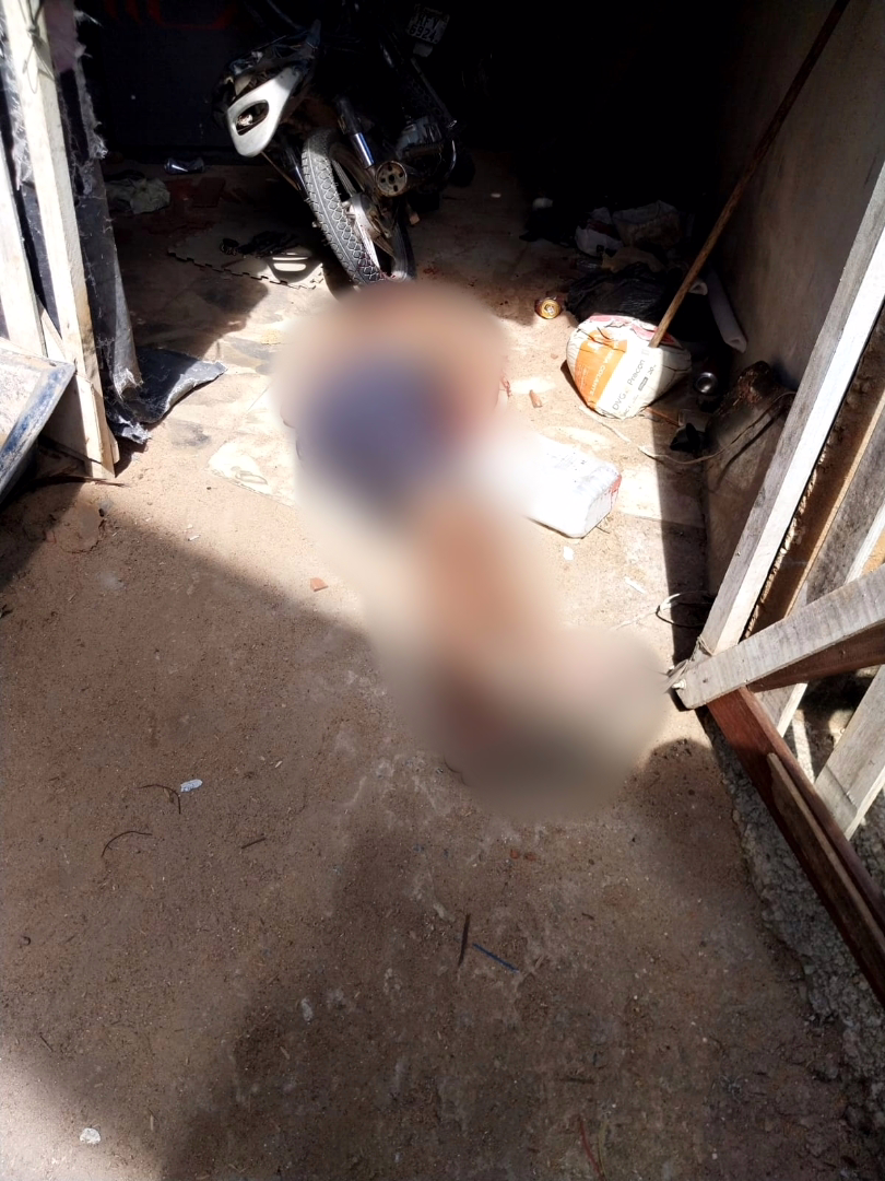 Foto enviada ao PLOX