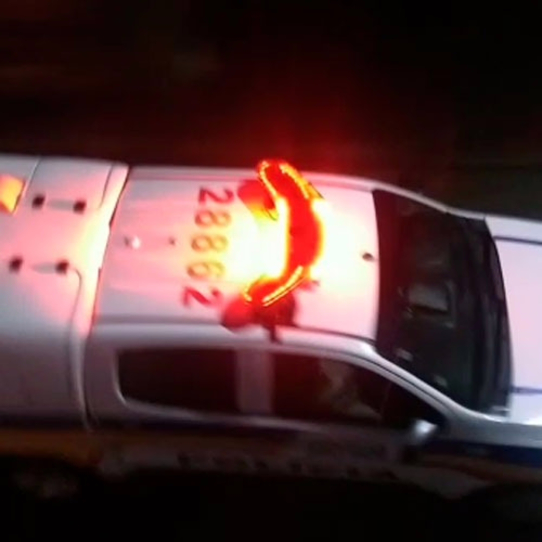 Polícia Militar / Divulgação