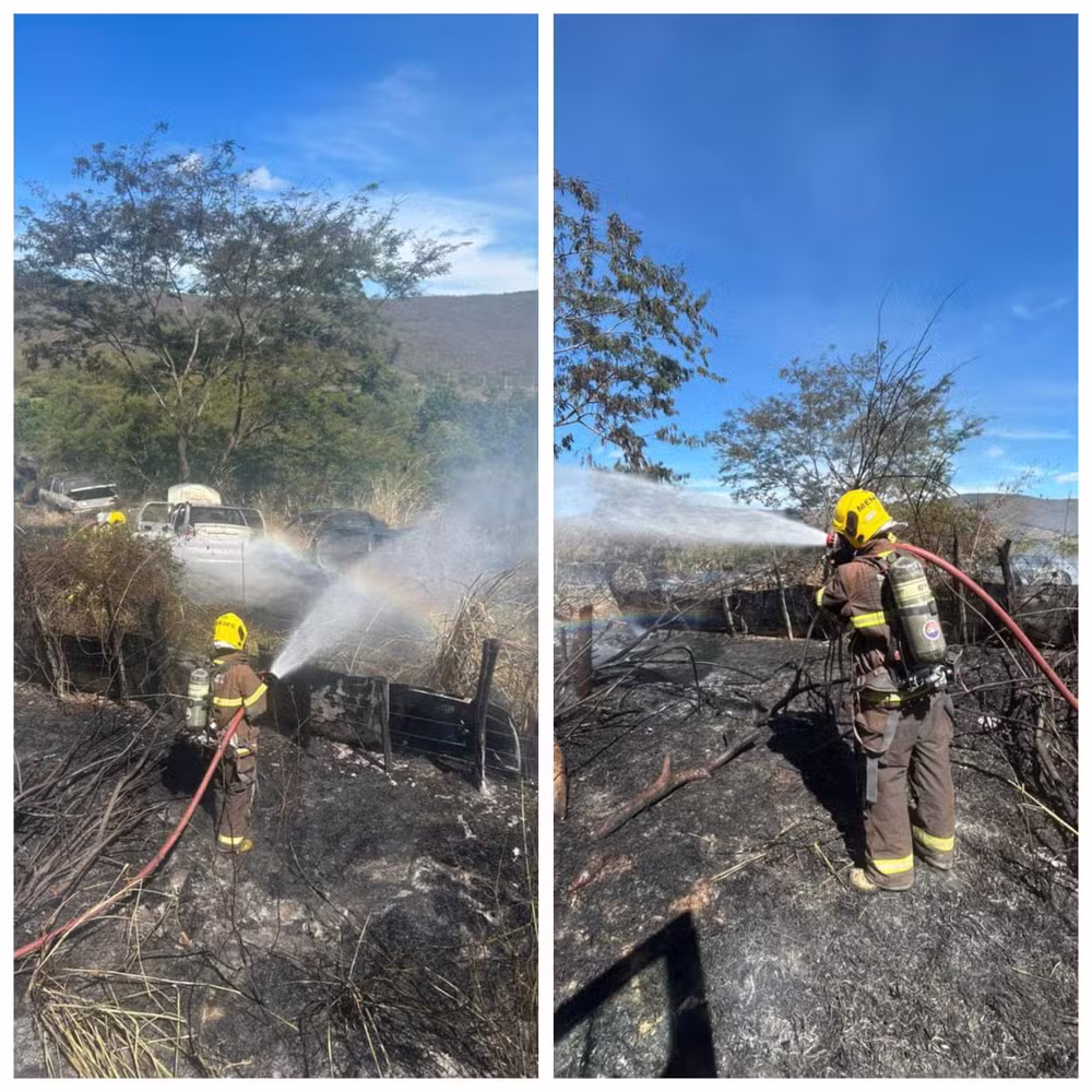 Incêndio atingiu vegetação e veículos às margens da BR-251