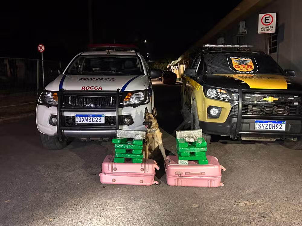 Barras de maconha eram transportadas em duas malas