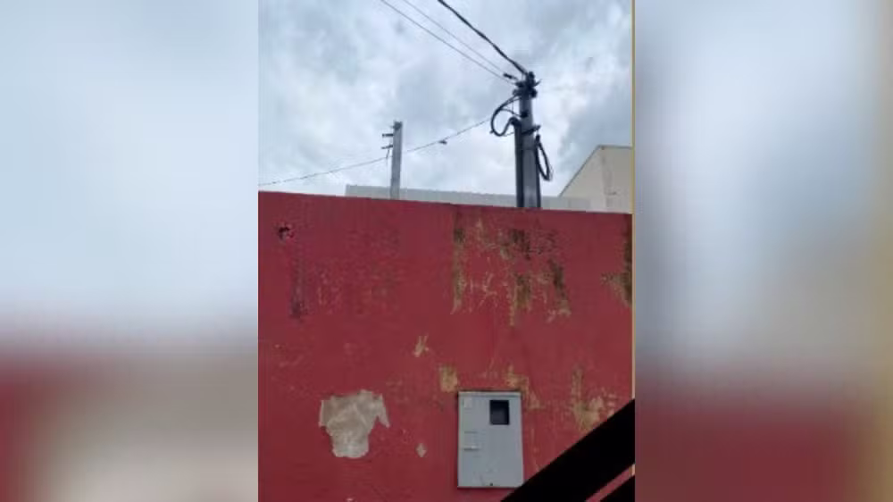 Gato de energia em Caps de Patrocínio