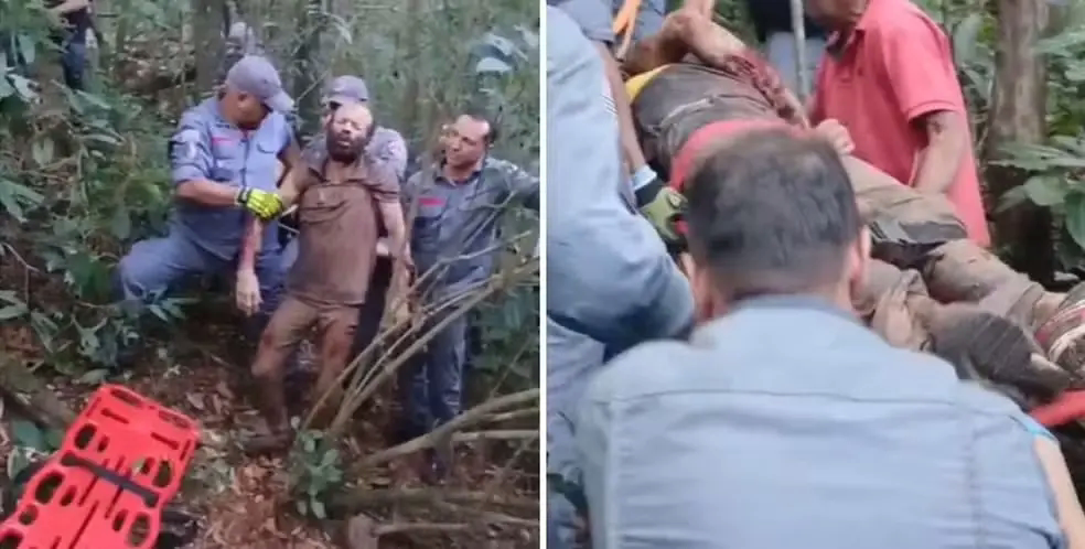 Suspeito foi atacado por quatro pitbulls ao tentar invadir chácara em Franca, SP