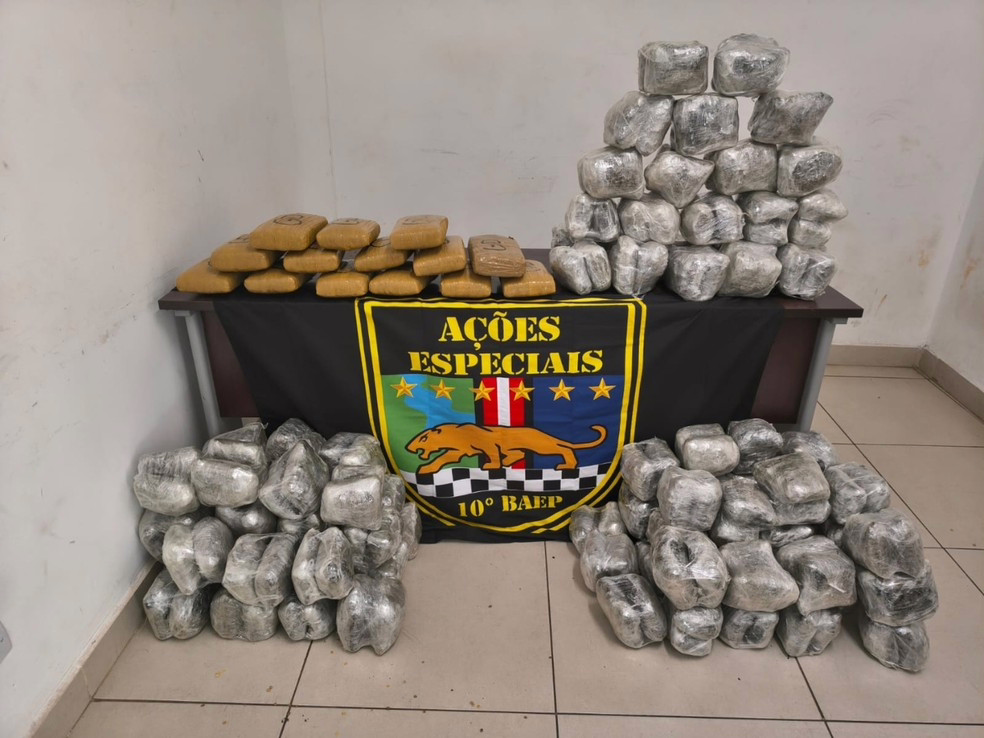 Quatro homens foram detidos e aproximadamente 240 quilos de drogas foram apreendidos neste sábado (30) em três ocorrências em Sumaré, Americana e Nova Odessa
