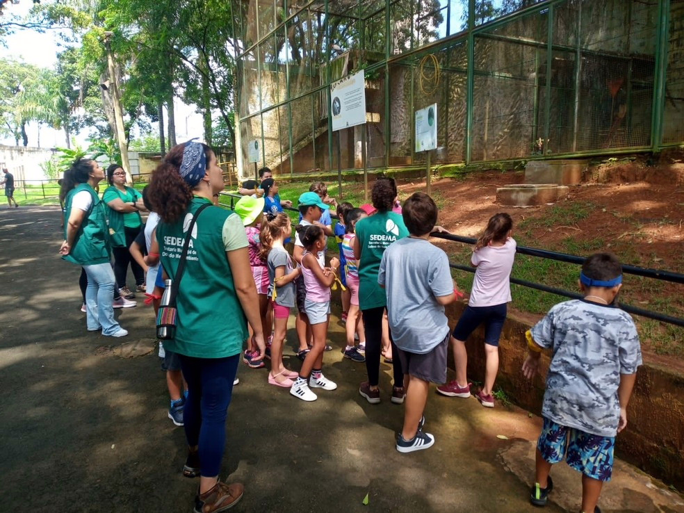 Animaférias 2024 promove atividade de educação ambiental no Zoológico de Piracicaba