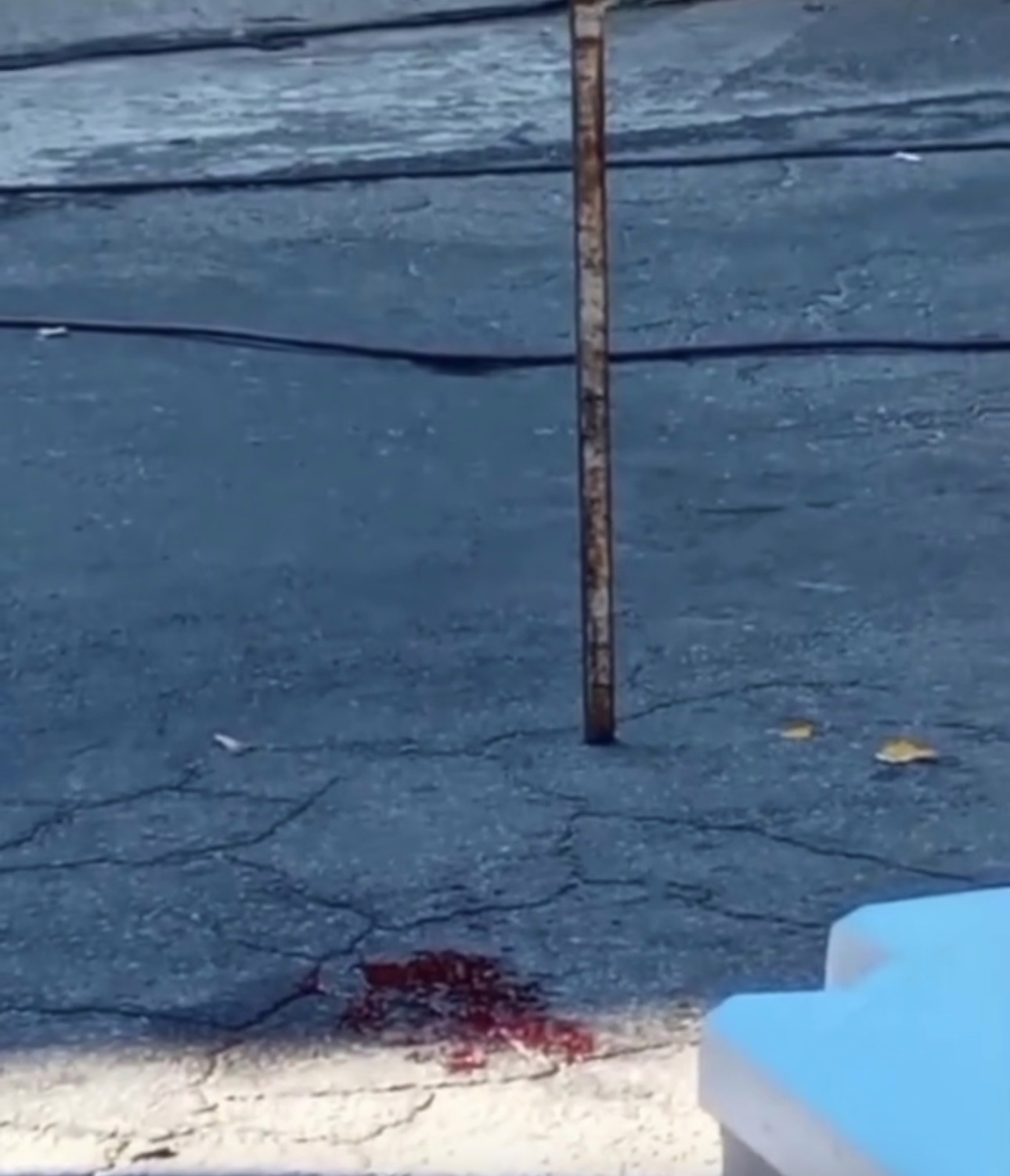 As de violência podem ser constatadas no local