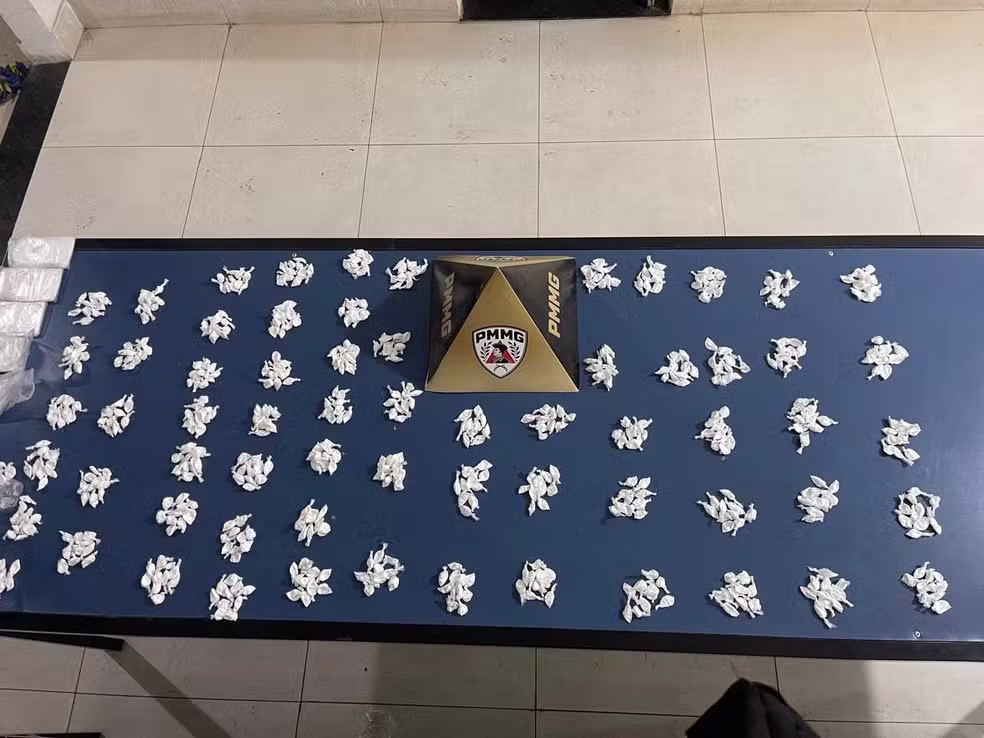 PM apreendeu 656 papelotes de cocaína