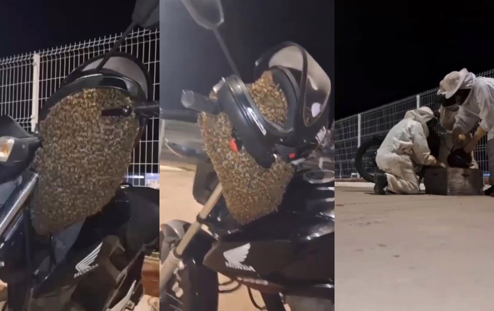 Enxame de abelhas pousa em moto e aciona equipe da Vigilância Ambiental em Botucatu