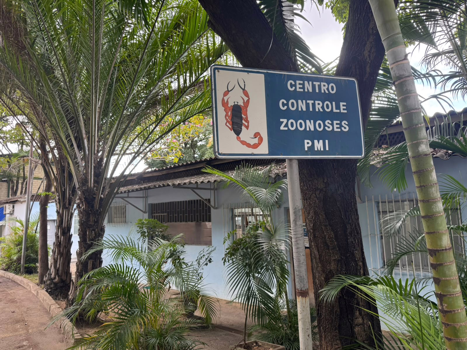 Além do atendimento às ocorrências, o Centro de Controle de Zoonoses desenvolve ações permanentes de educação em saúde.