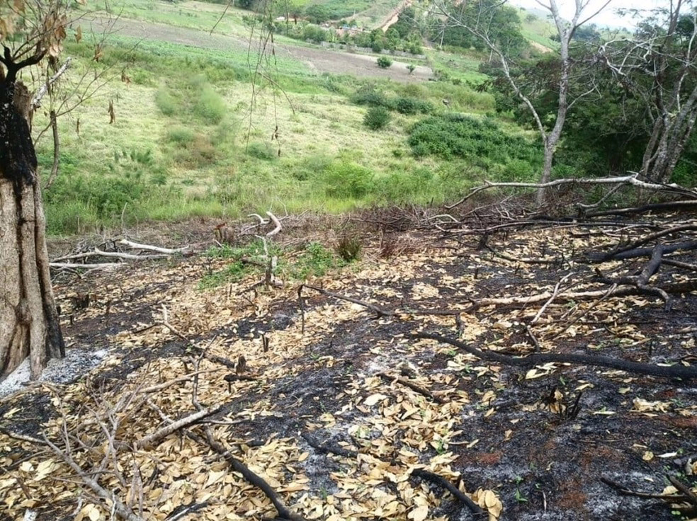 Incêndio atingiu uma área de aproximadamente um hectare em Itaocara