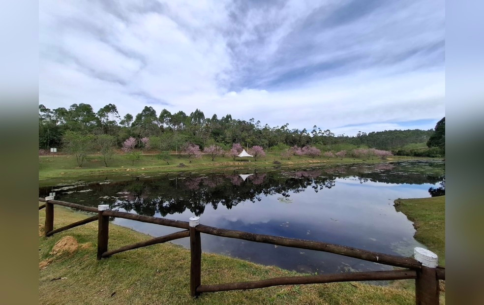 A sede do Santuário Ecológico do Budismo Primordial fica na Estrada Fernando Domingues