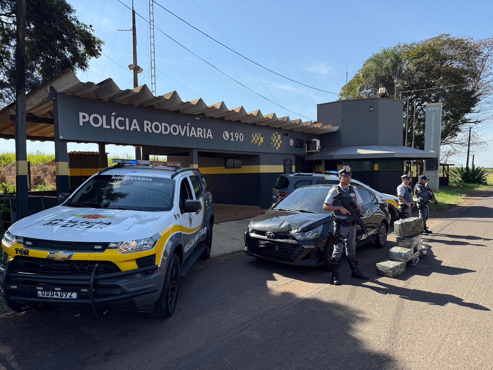 Polícia apreende pouco mais de 150 kg de maconha em Santa Cruz do Rio Pardo (SP)