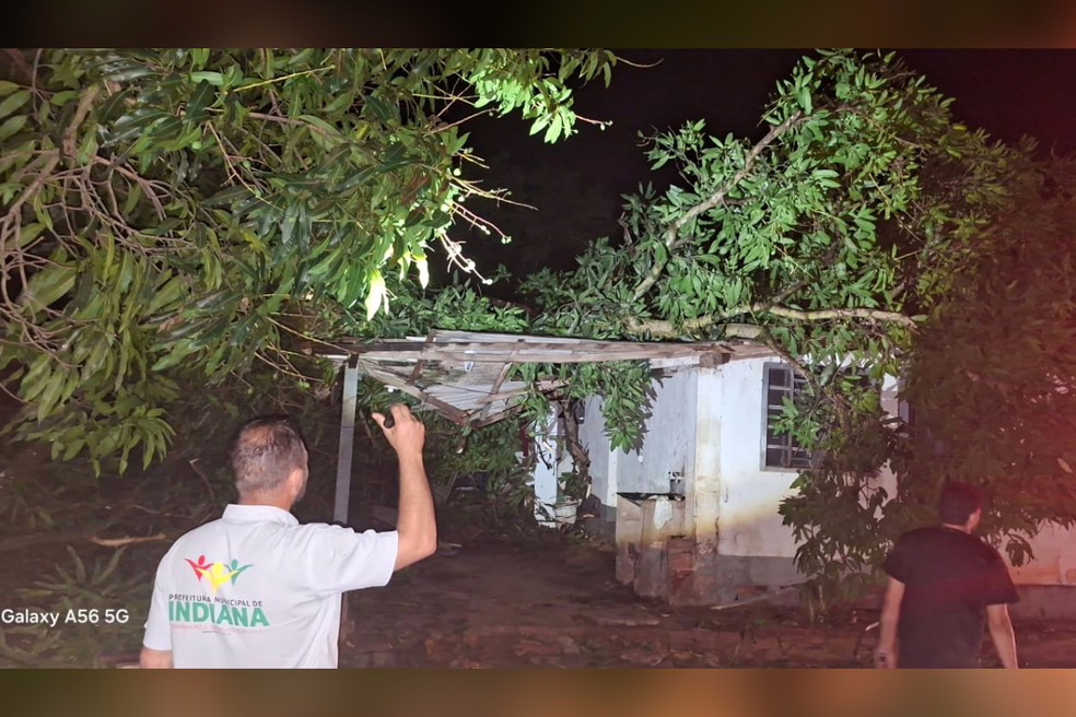 Rajadas intensas causaram danos em Indiana (SP)
