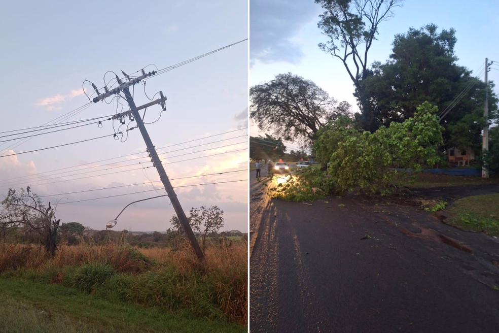 Rajadas de vento causaram danos em Martinópolis (SP)
