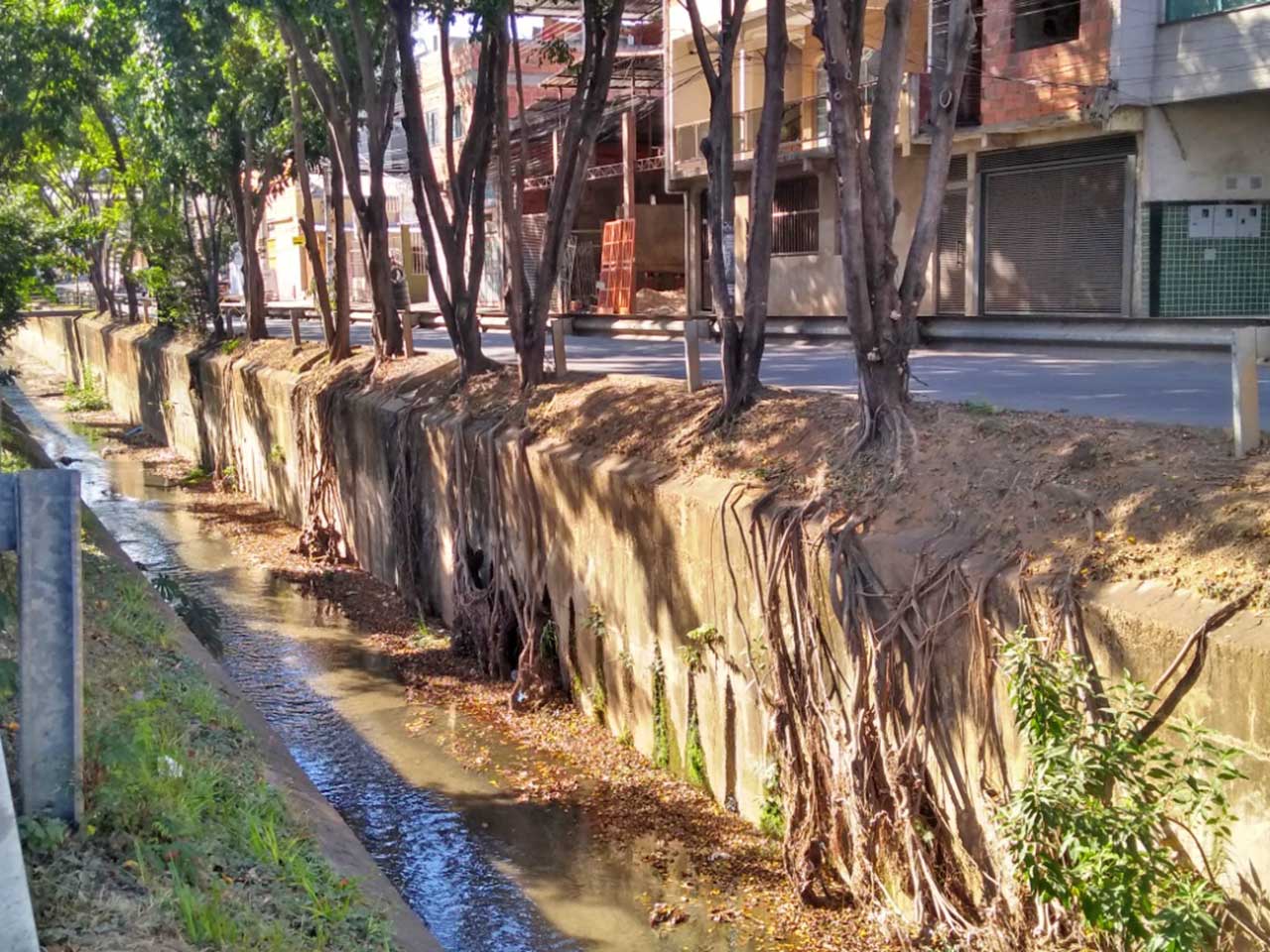 IMG 20190729 144319113 HDR