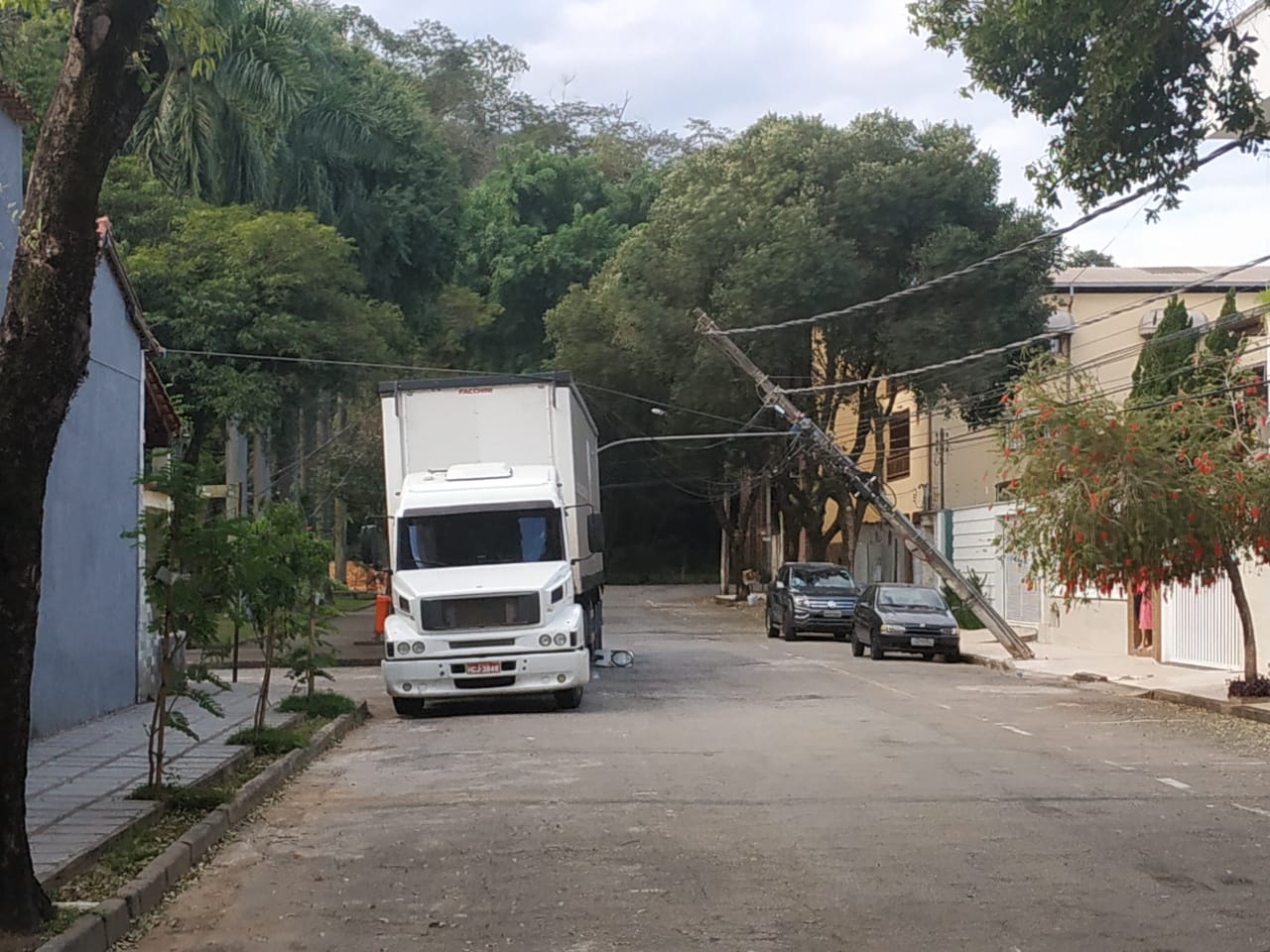 Poste caído horto 2