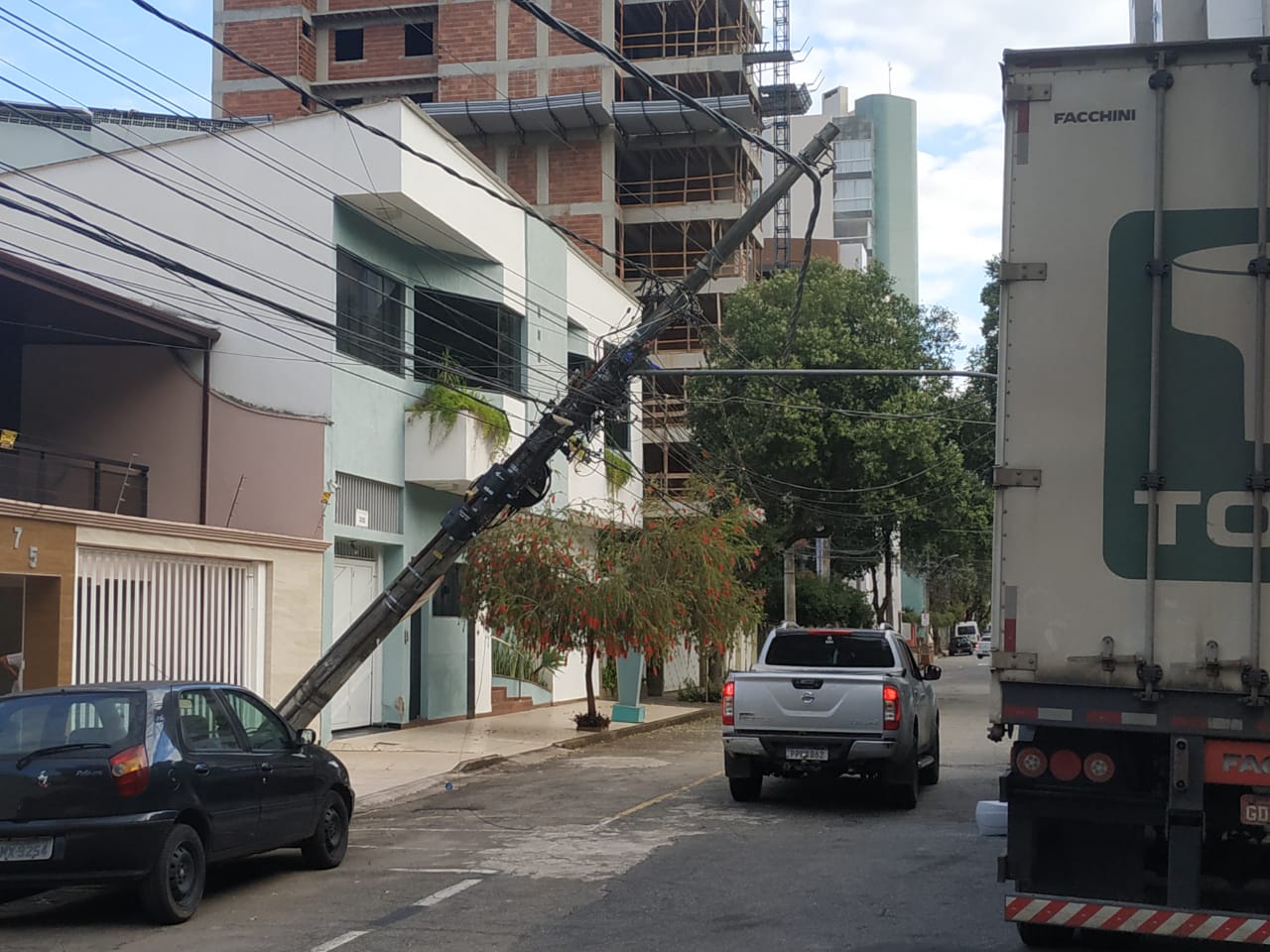 Poste caído horto
