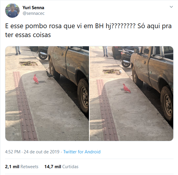 Tweet