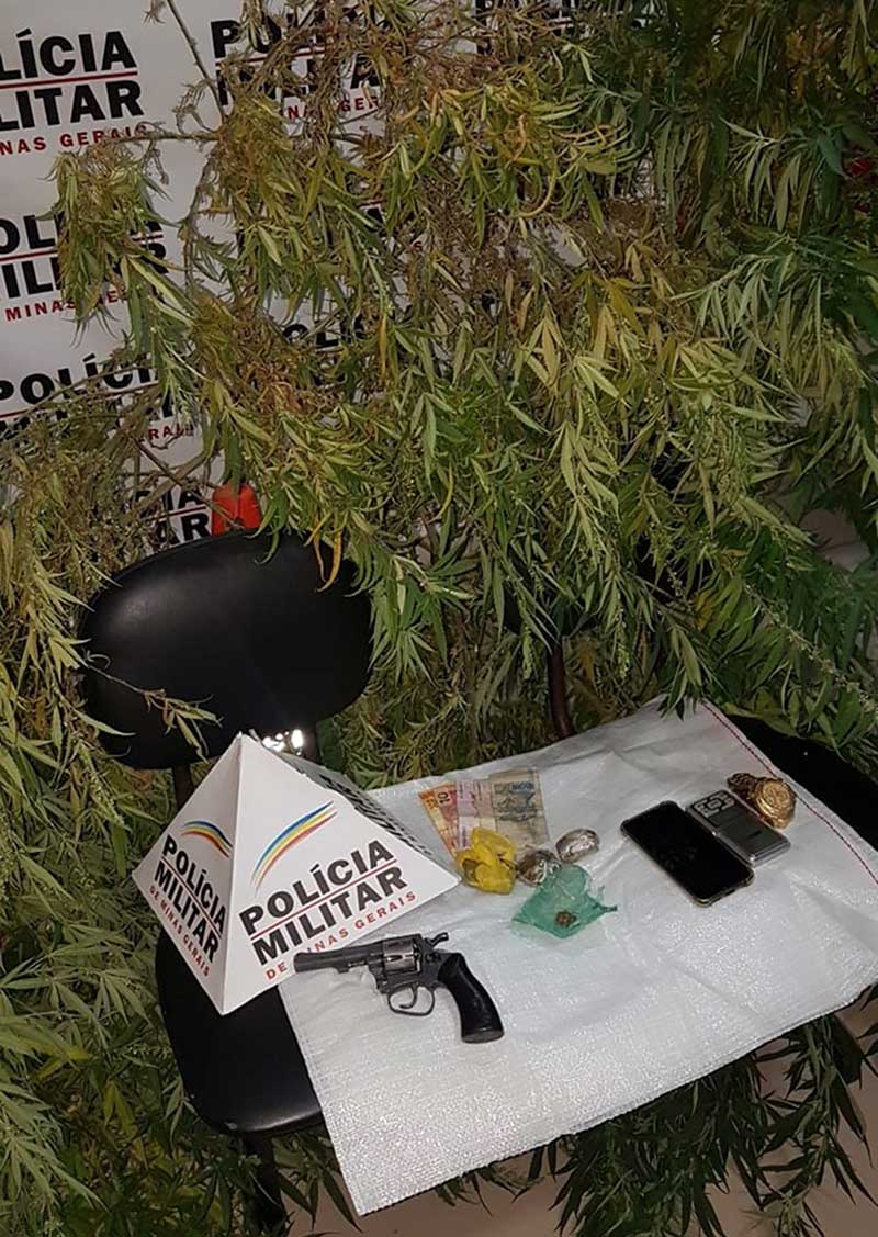 maconha-pé