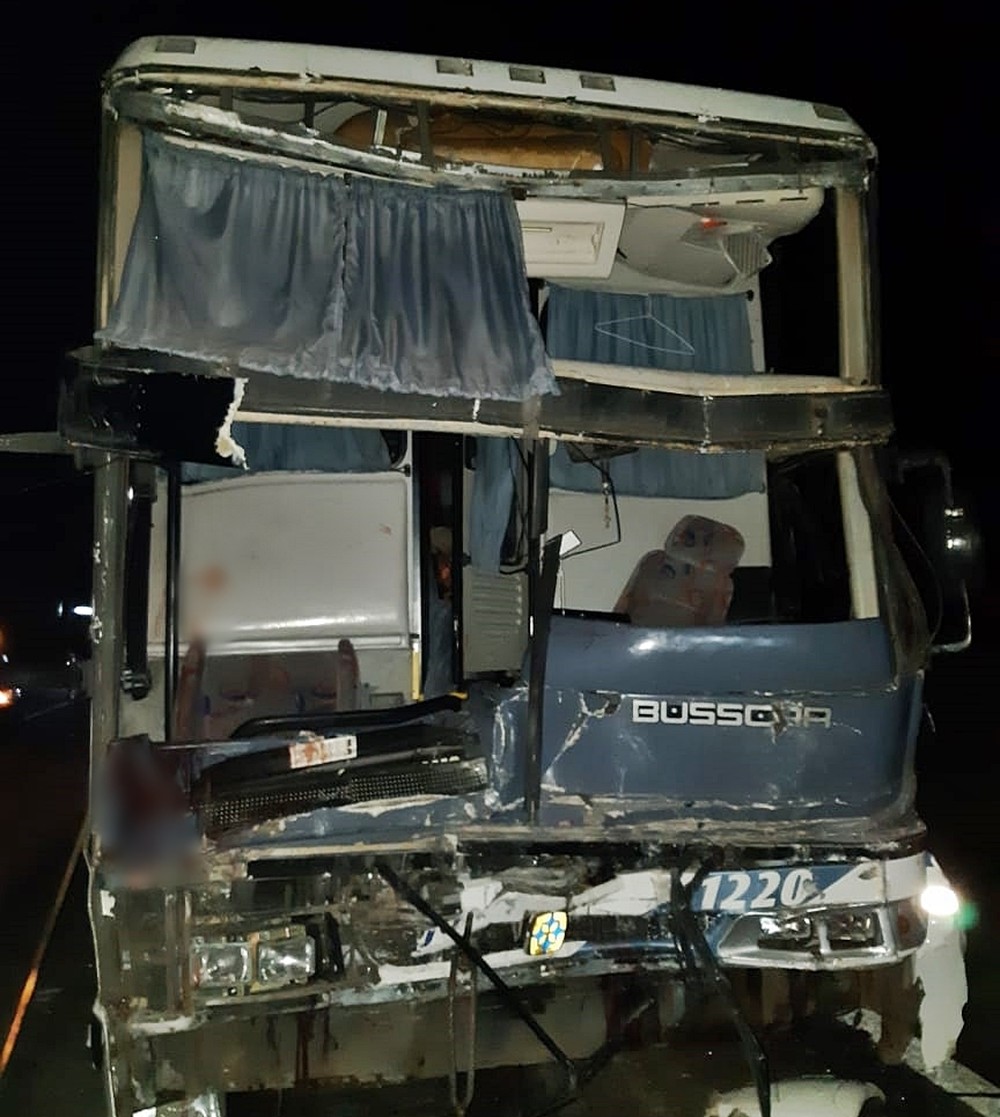onibus-fernao