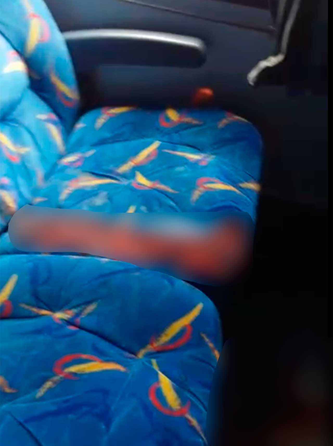 onibus