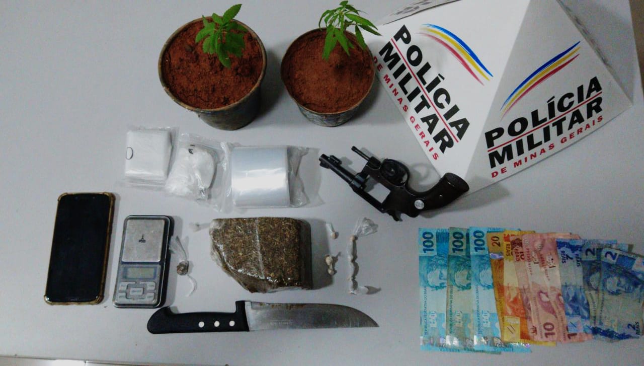 plantas-maconha-esperança