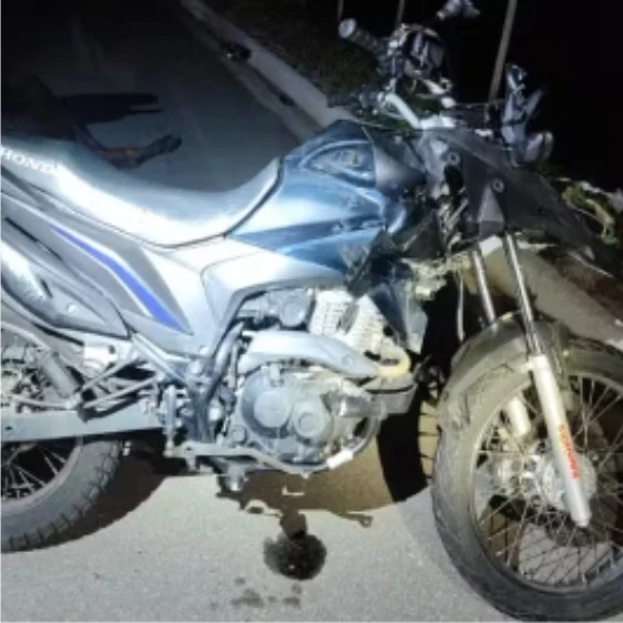 Motociclista morre após colidir com vaca na BR-259 em Governador Valadares