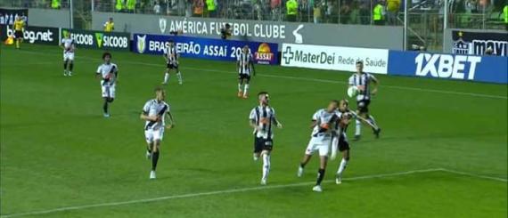 galo.jpg