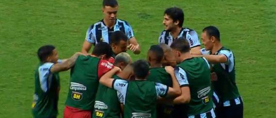 galo.jpg