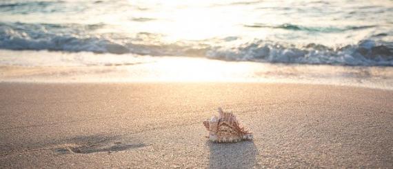 beach-4301479_640.jpg