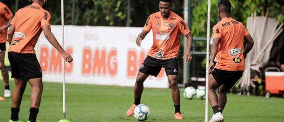 galo.jpg