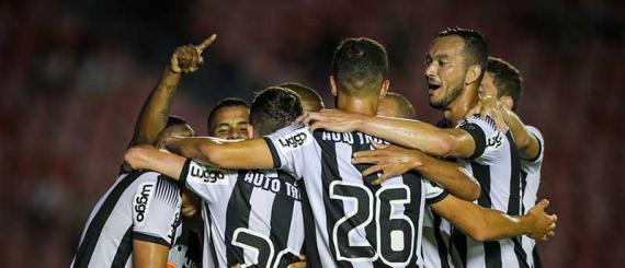 galo.jpg