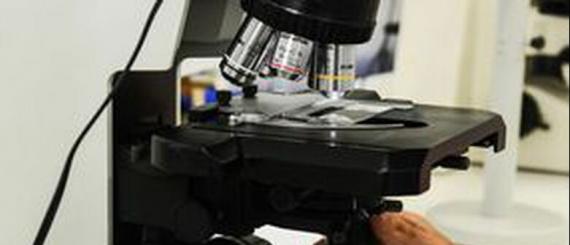 microscopio.jpg