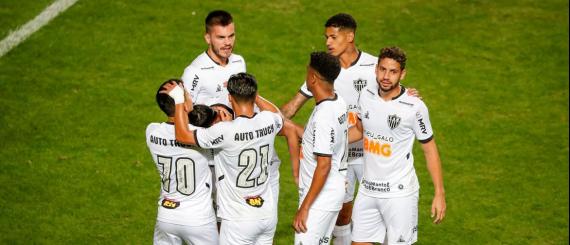 galo.jpg