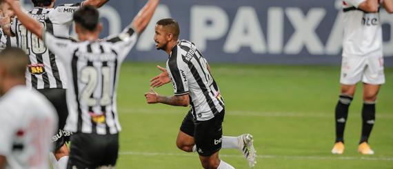 Galo-2.jpg