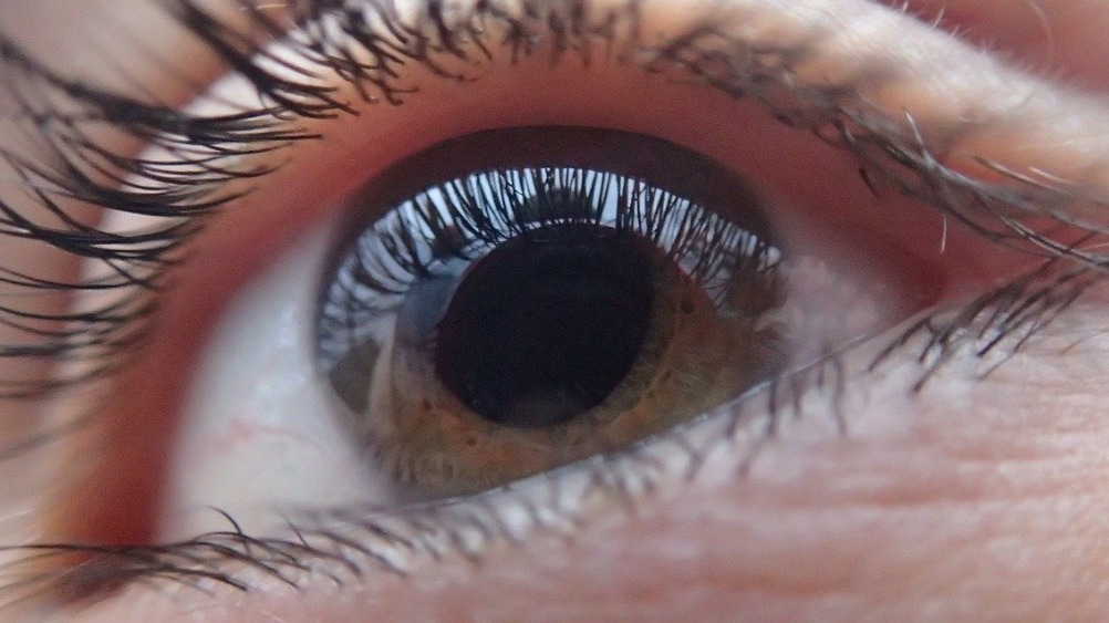 eye-321961_1280.jpg